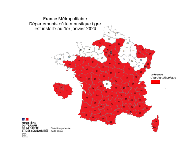 Où le moustique tigre est durablement installé en 2024.