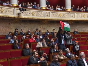Assemblée nationale : un député LFI brandi un drapeau palestinien, 15 jours d'exclusion, vives altercations... Tensions dans l'hémicycle au sujet de Gaza