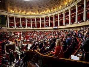 Dissolution de l'Assemblée nationale par Emmanuel Macron : on vous explique ce que cela signifie