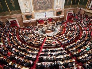 Dissolution de l'Assemblée nationale : quel est cet article 12 de la Constitution qui a été utilisé par Emmanuel Macron ?