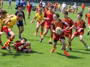 Rugby : retour de la Rodez rugby cup, tournoi U12 auquel participe ce week-end le Stade Toulousain