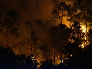 VIDEOS. Météo des forêts : la vigilance au risque d'incendie redevient active sur le Bassin méditerranéen, premier feu d'ampleur dans le Var