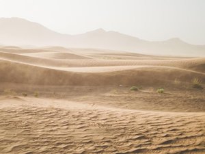 MÉTÉO. Poussières du Sahara : un nouveau nuage de sable laisse des traces de son passage en France, le phénomène se prolonge jusqu'au week-end
