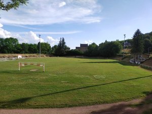 Elles coûtent chacune 1 million d'euros mais encaissent bien rugbymen et sangliers : en Aveyron, pourquoi les pelouses synthétiques fleurissent-elles autant ?