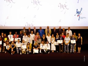 Les meilleurs ouvriers de France de l'Aveyron couronnés de lauriers