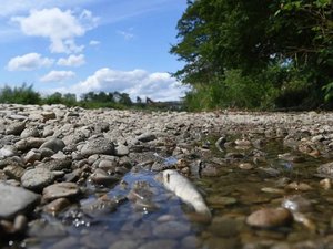 Avec un niveau des nappes phréatiques plus élevé que l'an dernier, l'Aveyron peut voir venir cet été