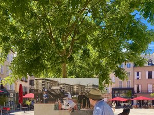 Rodez : les photographes amateurs et les clubs sportifs mis à l'honneur place de la Cité, pendant les JO de Paris 2024