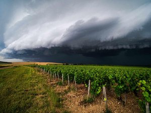 CARTE. Météo : orages violents et fortes pluies au coeur de la chaleur, 74 départements en vigilance jaune ce jeudi 11 juillet