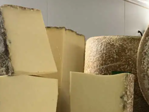 Cantal contaminé à la bactérie E. Coli : quels sont les fromages et les enseignes concernés par le rappel de produit ?