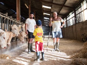 Vacances d'été : les fermes de veau d'Aveyron ouvrent leurs portes aux touristes comme aux locaux