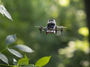 VIDÉO. Ce drone gros comme un insecte prend exemple sur les fourmis pour retrouver son chemin sans GPS