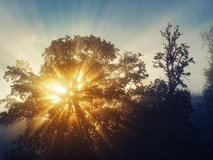 CARTE. Risque de feu de forêt : la vigilance orange activée en Occitanie ce mardi, neuf départements en jaune