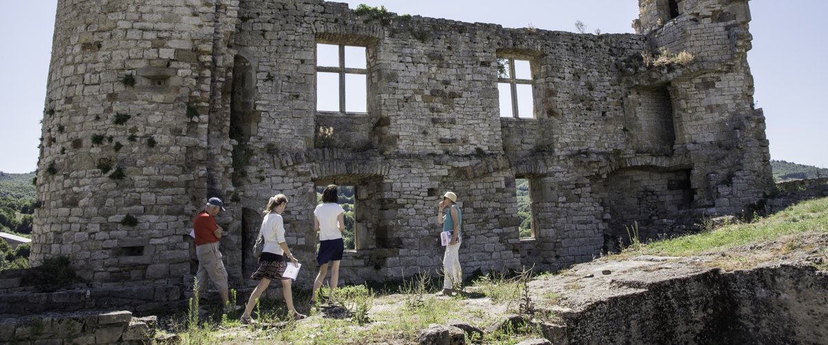 Visite du musée de Montrozier  et du château de Bertholène