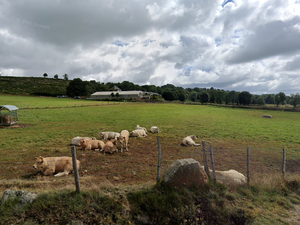 Du sable sur l'Aubrac ? Le projet d'une carrière de 16 hectares au coeur Parc naturel régional menace le tourisme