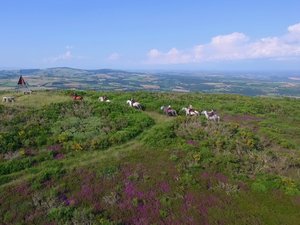 Votre été en Aveyron : le Lévézou, un terrain de jeu idéal pour s'amuser et se surpasser