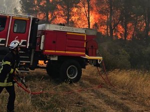 Incendie à la frontière entre l'Hérault et l'Aude : 200 pompiers à l'oeuvre, 30 hectares déjà partis en fumée