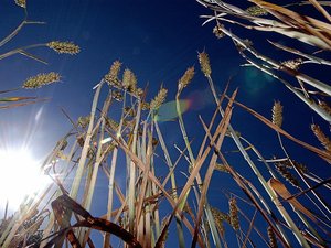 CARTE. Météo : vigilance orange canicule maintenue ce mardi en Aveyron, quelles vont être les températures ?