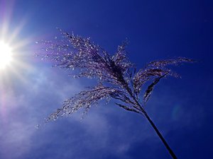 Vigilance canicule : 39°C, 38,5°C, 38,3°C... dans quelles communes a-t-il fait le plus chaud en Aveyron, lundi ?