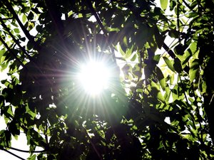 Vigilance canicule : nouvelles pointes à 39°C enregistrées mardi, où a-t-il fait le plus chaud en Aveyron ?