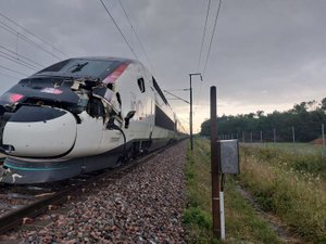 VIDÉOS. Les orages frappent fort au coeur de la canicule, le TGV Paris - Lyon heurte un arbre, des foyers privés d'électricité