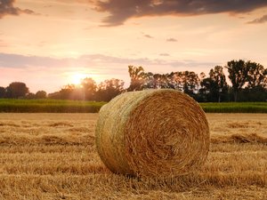 Depuis le 1er août et le jour du dépassement, la Terre a épuisé toutes ses ressources annuelles