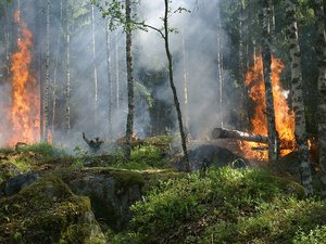 Risque de feux de forêt : l'Aveyron en vigilance jaune ce week-end, voici ce que ça implique et ces mauvais gestes à éviter