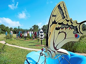 Votre été en Aveyron : en plein coeur de la nature avec la cité des insectes de Micropolis