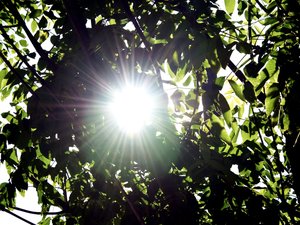 CARTE. Météo : jusqu'à 34°C attendus ce vendredi après-midi, où fera-t-il le plus chaud en Aveyron ?