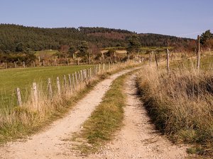 Alors que toute la France est peu à peu placée en vigilance 