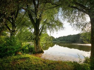 Victime d'une crise d'asthme, un adolescent de 15 ans se noie dans un plan d'eau du Puy-de-Dôme