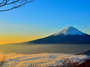 Japon : l'alerte au 