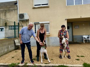 Les abandons d'animaux ne cessent d'augmenter en Aveyron, s'inquiète la SPA de Rodez