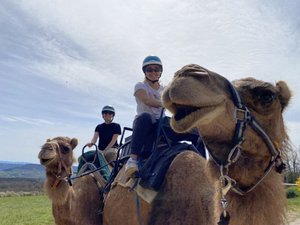 Saint Geniez d'Olt et d'Aubrac. Votre été en Aveyron : une aventure insolite, unique et authentique des Causses à l'Aubrac !