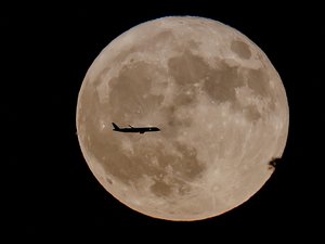 Super lune bleue : pourquoi la pleine lune paraissait plus grosse durant la nuit du lundi 19 août qu'habituellement ?