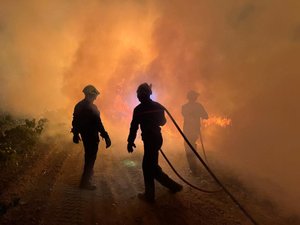 Nouvel incendie dans les Pyrénées-Orientales : 110 pompiers réveillés cette nuit pour éviter la propagation des flammes