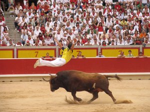 La soirée dans le Gard tourne mal : un homme gravement blessé à la suite d'un toro-piscine