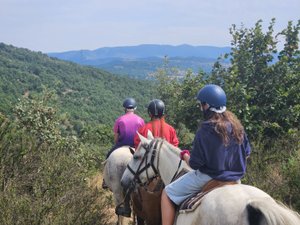 Votre été en Aveyron : au galop sur le Larzac avec le Domaine de Gaillac à Sauclières