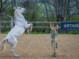 Activités équestres et lieu de spectacles : le ranch du Barrez, un site aux multiples facettes