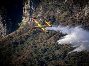 Un important incendie ravage 81 hectares en Occitanie