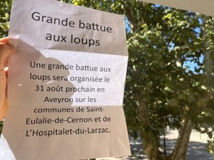 Y a-t-il eu une battue au loup ce week-end sur le plateau du Larzac ?