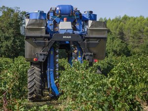 Une forte odeur de carburant se dégage dans l'habitacle de la machine à vendanger, ses parcelles de vigne vandalisées avec de l'essence