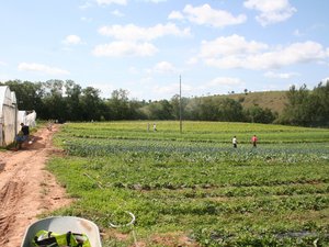 Des légumes à cueillir soi-même : portes ouvertes ce samedi 7 septembre d'Agen-d'Aveyron