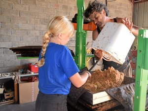 Aveyron : des pommes bien au jus du côté de Najac