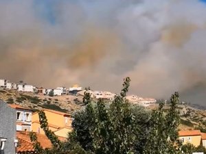 VIDÉO. Impressionnant incendie sur les hauteurs de Narbonne : les pompiers luttent pour empêcher les flammes d'atteindre les habitations