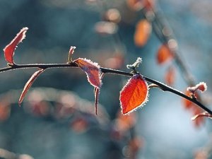CARTE. Météo : la "fraicheur automnale" s'installe ce jeudi, où les écarts avec les normales seront-ils les plus grands ?