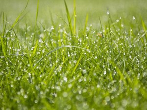 CARTE. Météo : 5°C, 6°C, 7°C... des minimales par endroits très basses en Aveyron ce jeudi, où fera-t-il le plus frais ?