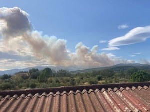 Feux de forêt : quatre départements en vigilance orange ce jeudi 12 septembre, trois départs de feu dont un fait des ravages