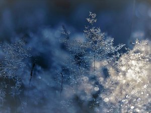 Météo : 1,5°C enregistré ce vendredi matin en Aveyron, où a-t-il fait le plus froid dans le département ?