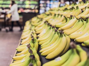 Livraisons de bananes et... de cocaïne à destination de quatre magasins Grand Frais