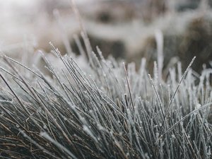 MÉTÉO. Retour du givre en Aveyron : les températures sont descendues jusqu'à 0 °C, voici où il fait le plus froid au lever du jour